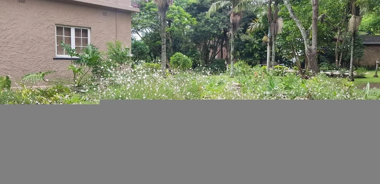 拉瓦尼亚Sarina House Ocean View别墅 拉瓦尼亚